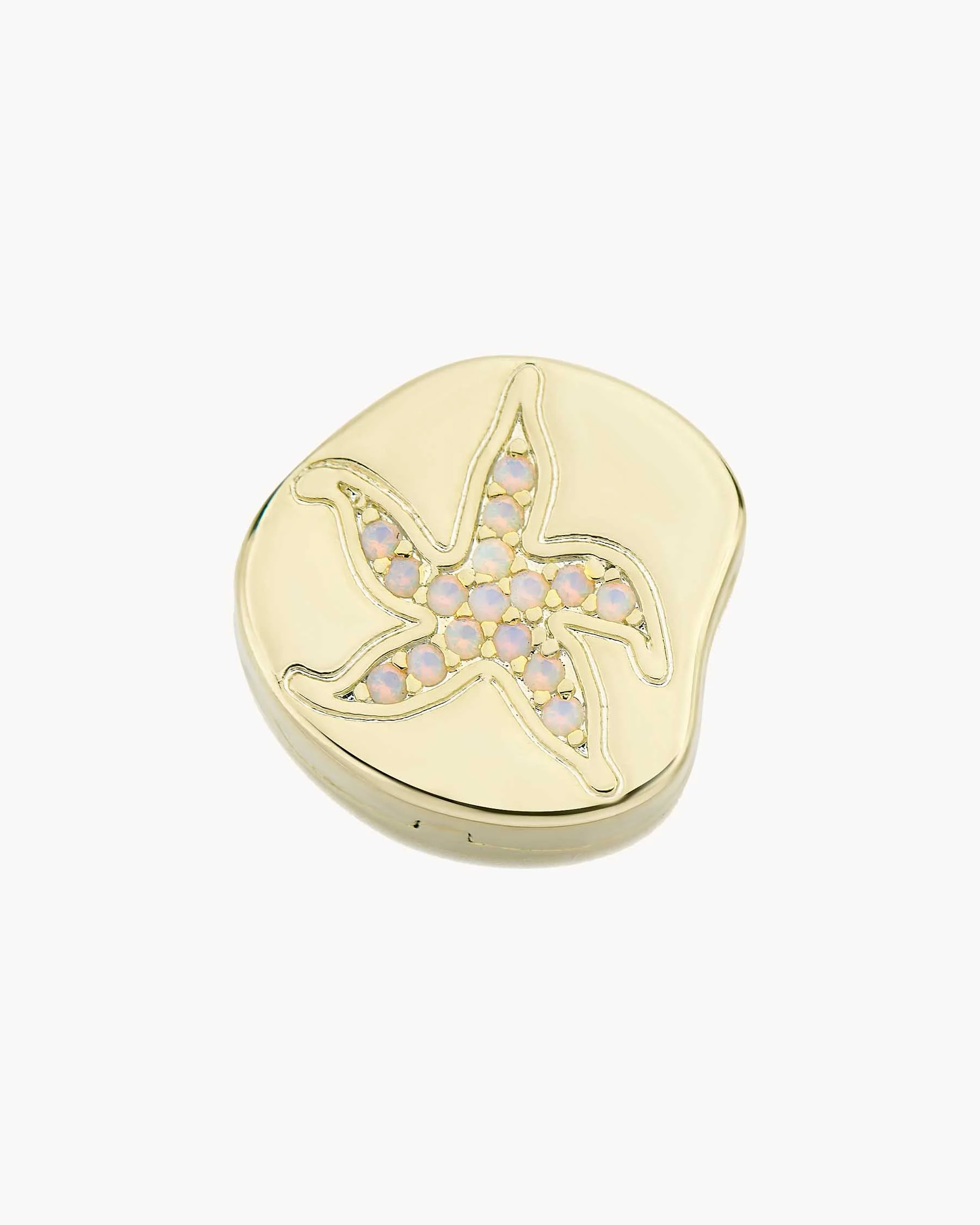 Charm Clip Estrella Fósil - Image 5